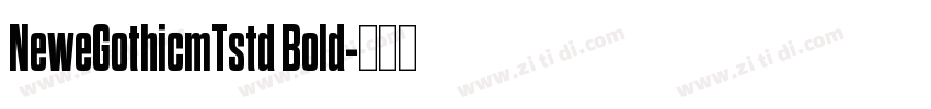 NeweGothicmTstd Bold字体转换
